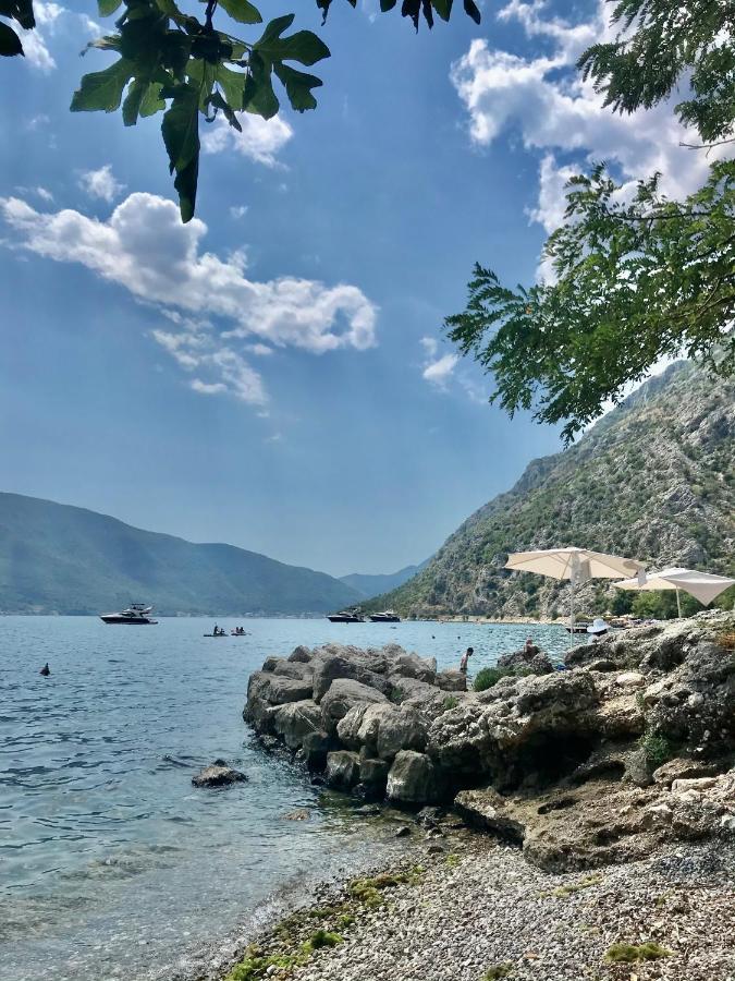 Lemon Tree Villa Kotor Eksteriør billede