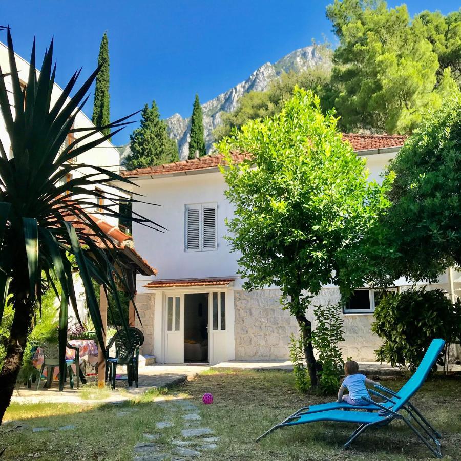 Lemon Tree Villa Kotor Eksteriør billede