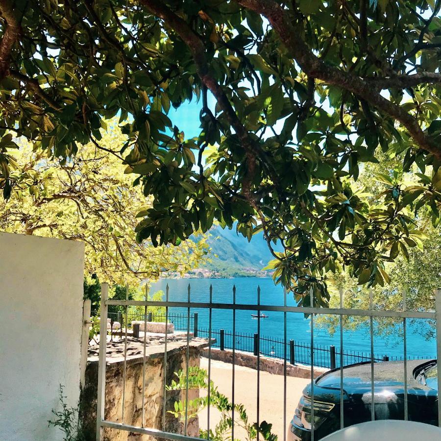 Lemon Tree Villa Kotor Eksteriør billede