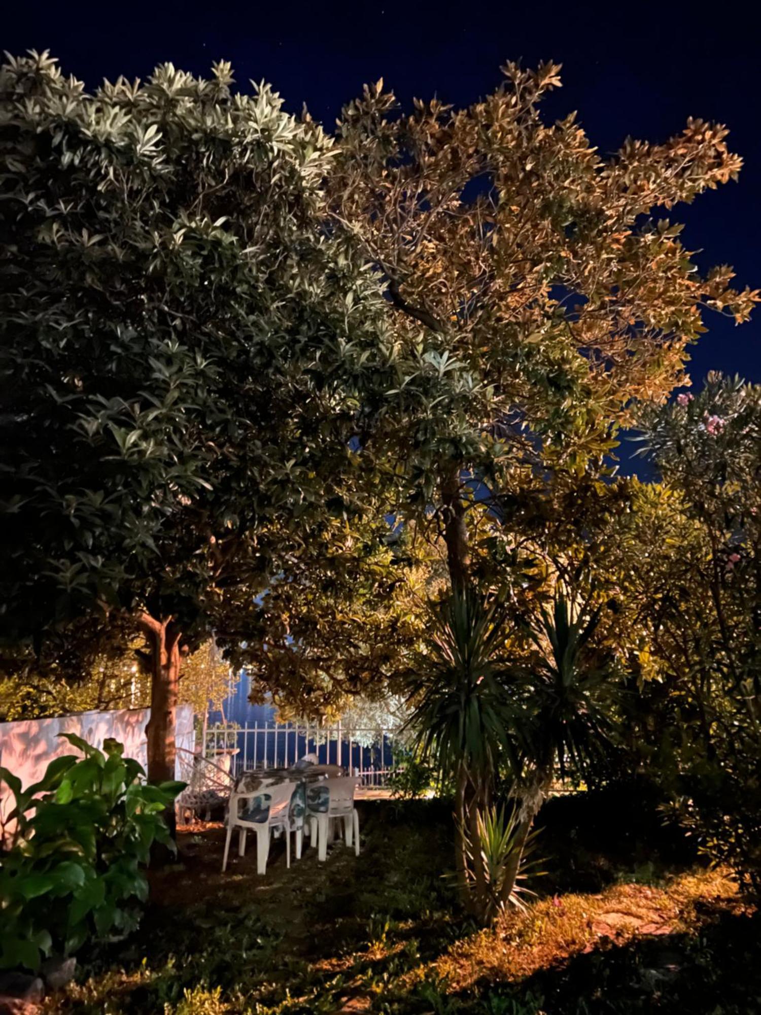 Lemon Tree Villa Kotor Eksteriør billede
