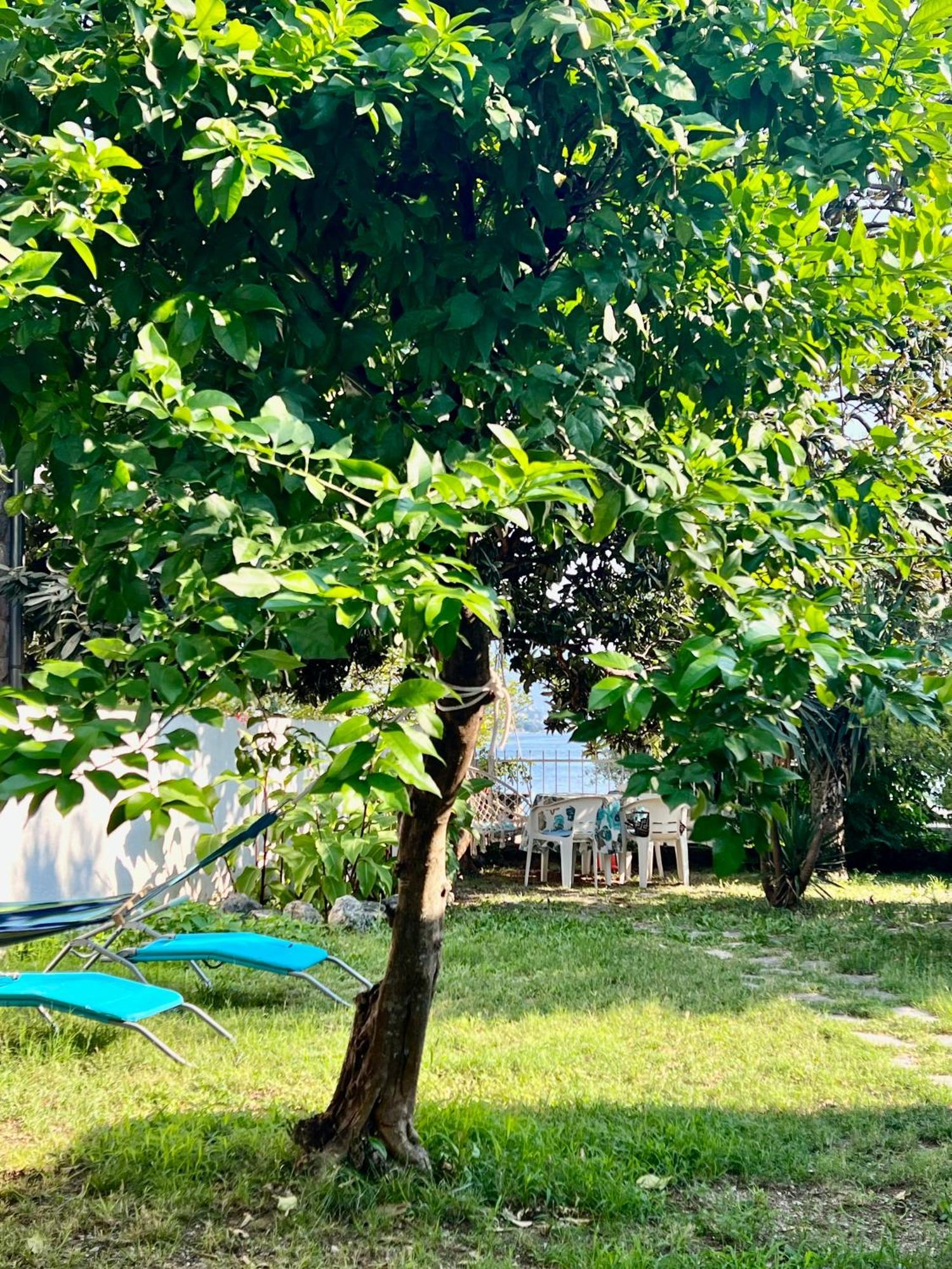 Lemon Tree Villa Kotor Eksteriør billede