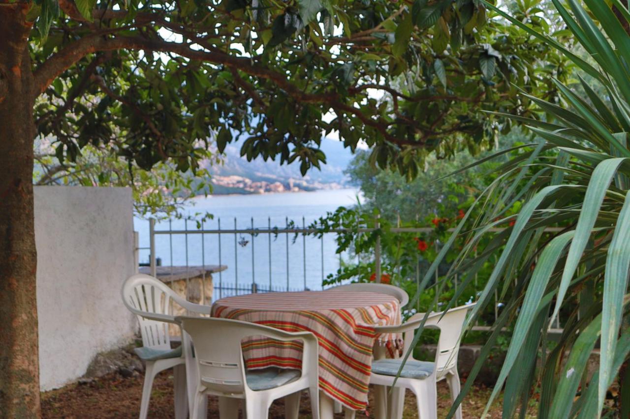 Lemon Tree Villa Kotor Eksteriør billede